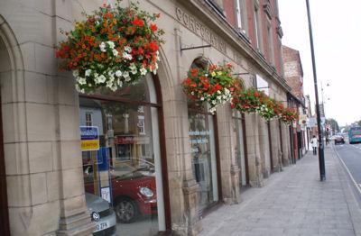 Hanging Baskets